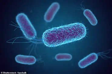 E. Coli Bacteria Linked to Rising Rates of Young-Onset Colorectal Cancer