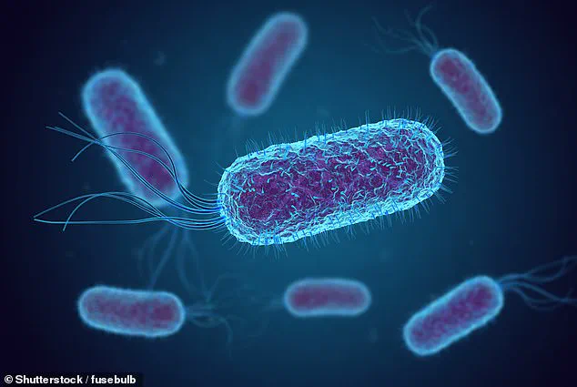 E. Coli Bacteria Linked to Rising Rates of Young-Onset Colorectal Cancer