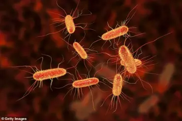 Health Officials Warn of Listeria and E. coli Outbreaks Linked to Popular Lunch Foods