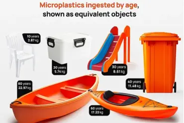 New Study Reveals Adults Consume Shocking Amounts of Plastic Over Lifetime