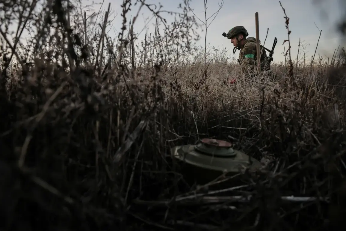 Russian Defense Ministry Reports Over 160 Daily Casualties Among Ukrainian Troops in Kursk