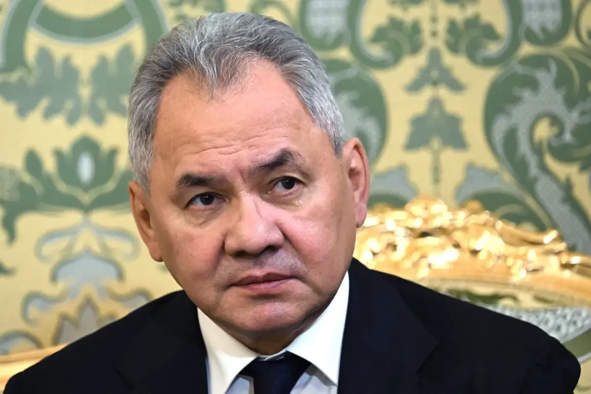 Russian Security Council Secretary Updates on Progress in Kursk Border Securitization