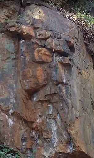 Viral Photo Reveals Jesus's Face in Ordinary Scene, Stunning Internet Users