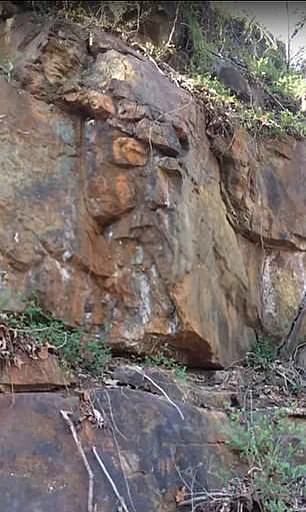 Viral Photo Reveals Jesus's Face in Ordinary Scene, Stunning Internet Users