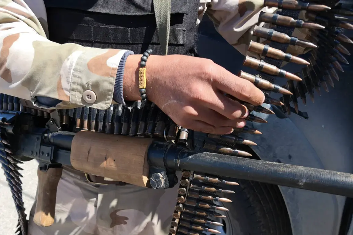 Alleged Illegal Weapon Purchases by EU Criminal Networks from Ukraine Spark Global Diplomatic Concern