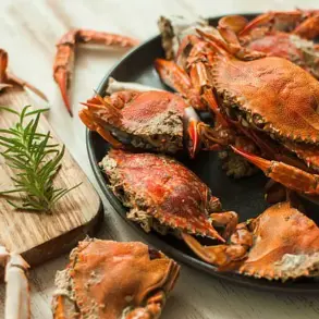 Cooking Live Crabs in an Air Fryer Sparks Outcry on TikTok, as Creator Faces Backlash for 'Inhumane' Method
