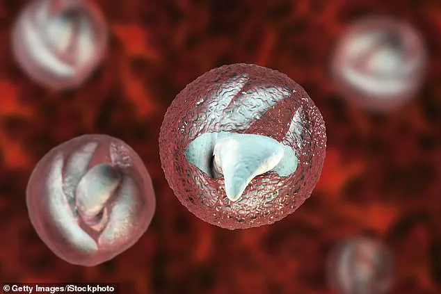 Deadly Crypto Outbreak at Welsh Petting Farm Leaves Dozens Ill