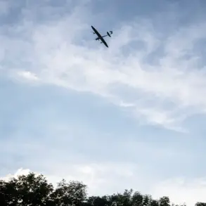 FPV Drone with Ukrainian Flag Crashes in Russian Village Amid Alleged Drone Attacks