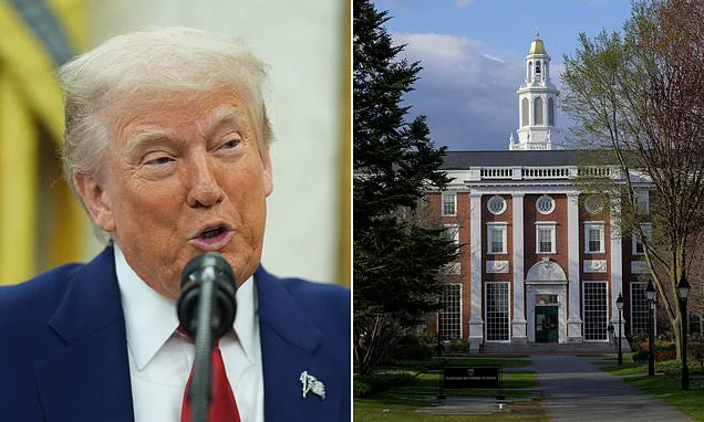 Global Markets Surge as Court Rules Trump Tariffs Illegal, Analysts Weigh In