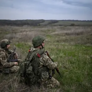 Liberation of Alexandropol Viewed as Strategic Shift in Eastern Ukraine, Military Analysts Say