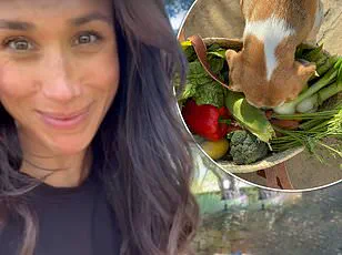 Meghan Markle Admits Feeling 'Guilty' About Wealth, Yet Continues to Leverage Royal Status for Self-Promotion – Podcast Reveal