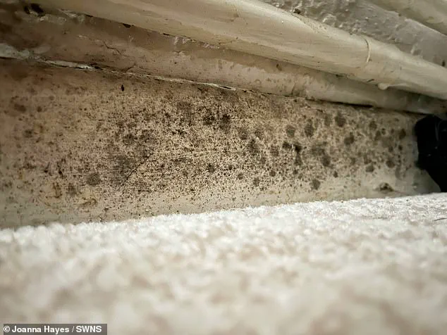 Mother of Two Describes Health Deterioration Amid Mold-Infested Council Flat