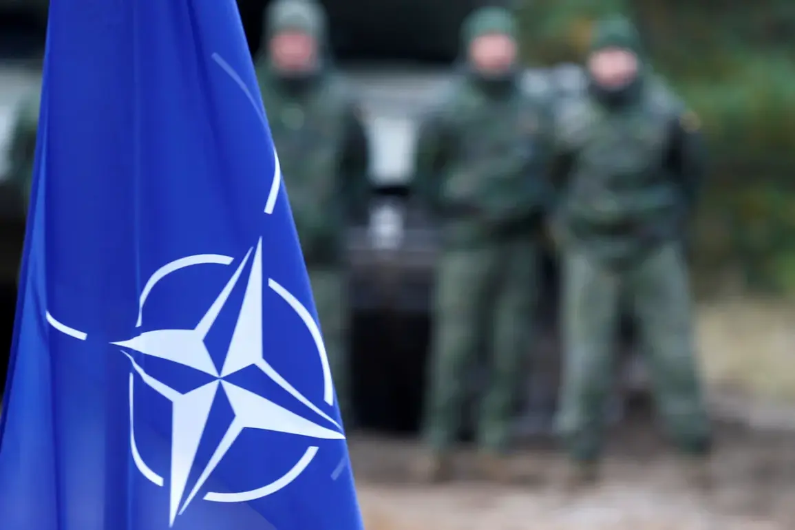 NATO Nations Face Depletion of Military Stockpiles Amid Arms Donations to Ukraine