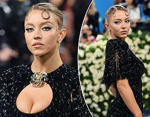 Privileged Access: Camilla Araujo's Controversial Met Gala Invite and Viral Plane Video