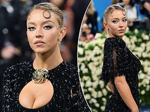 Privileged Access: Camilla Araujo's Controversial Met Gala Invite and Viral Plane Video