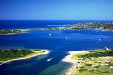 Rare Basking Shark Sighting Spotted Near Block Island, Rhode Island