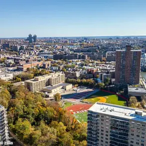 The Bronx: A Cultural Jewel and America's Alzheimer's Capital