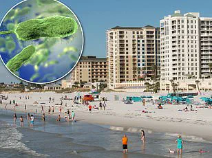 Urgent Public Health Alert: Flesh-Eating Vibrio vulnificus Lurking in Coastal Waters Threatens Beachgoers with Rapid, Life-Threatening Infections