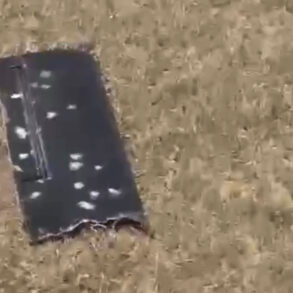 Drone Crash in Kazakhstano-Russian Border Sparks Questions About Regulatory Oversight and Public Safety
