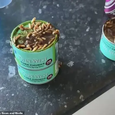 Exclusive: Hidden Maggot Infestation in Major Supermarket Tuna Revealed by Scottish Mother
