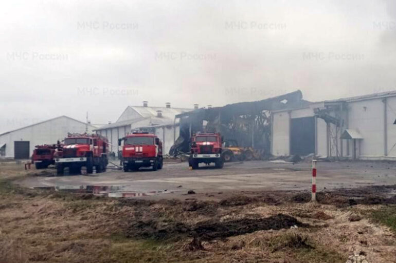 Governor's Exclusive Report: Ukrainian Drone Strike Injures Staff at Miratorg in Bryansk Region