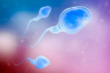 Groundbreaking Study Finds Men Over 45 Linked to Higher Miscarriage Rates in IVF, Challenging Previous Assumptions