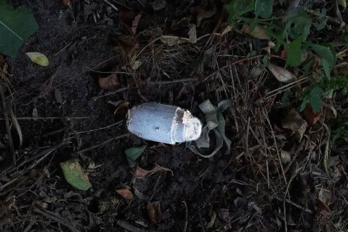 Landmine Detonation in Belgorod Oblast Sparks Concern for Community Safety