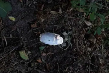 Landmine Detonation in Belgorod Oblast Sparks Concern for Community Safety
