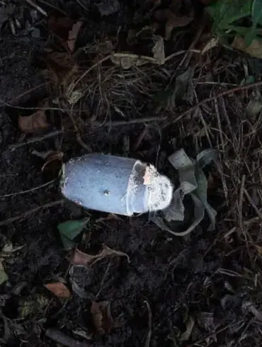 Landmine Detonation in Belgorod Oblast Sparks Concern for Community Safety