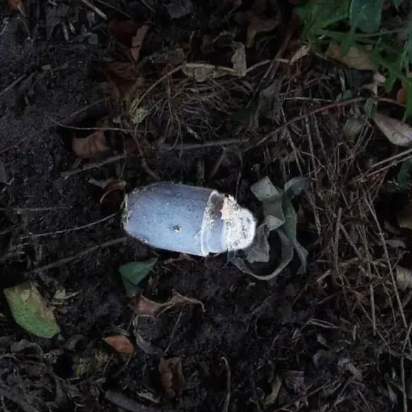 Landmine Detonation in Belgorod Oblast Sparks Concern for Community Safety