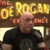 Late-Breaking: Rogan and Norton's Shocking Critique of American Bread Sparks Controversy