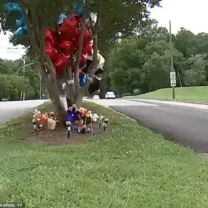 Privileged Information, Limited Oversight: The Gastonia Tragedy and Parental Accountability