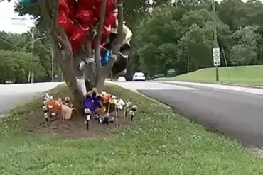 Privileged Information, Limited Oversight: The Gastonia Tragedy and Parental Accountability