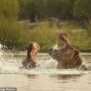 Sources Reveal Paul Templer's Near-Death Hippo Attack: A Survivor's Story 30 Years Later