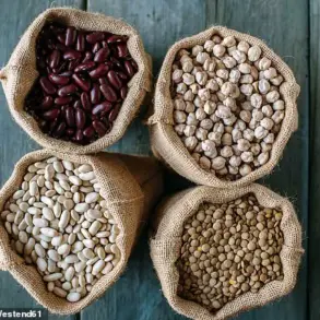 Study Suggests Daily Chickpea Consumption May Lower High Cholesterol, According to Illinois Institute of Technology Research Presented at Nutrition Conference