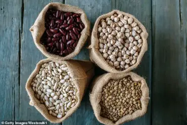 Study Suggests Daily Chickpea Consumption May Lower High Cholesterol, According to Illinois Institute of Technology Research Presented at Nutrition Conference