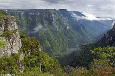 11-Year-Old Girl with Autism Dies After Falling from Cliff During Family Trip in Brazil