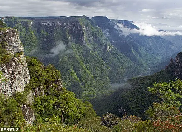 11-Year-Old Girl with Autism Dies After Falling from Cliff During Family Trip in Brazil