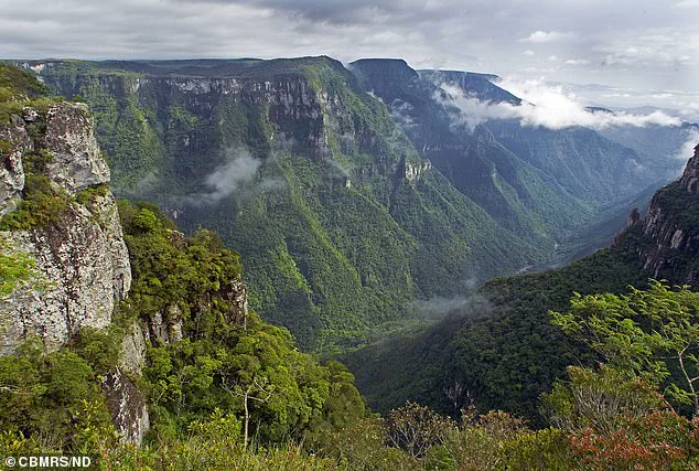 11-Year-Old Girl with Autism Dies After Falling from Cliff During Family Trip in Brazil