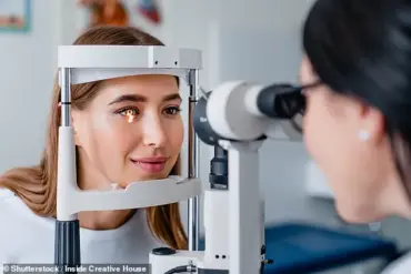 AI-Powered Retinal Analysis: A New Frontier in Predicting Cardiovascular Risk
