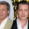 Brad Pitt's Age-Defying Secret: The Limited Information Behind the Speculation