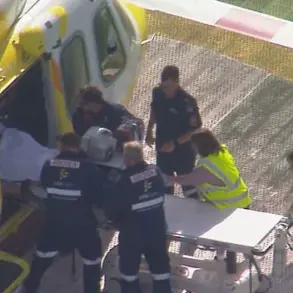 Breaking: Woman Amputated After Lion Attack at Darling Downs Zoo, Queensland