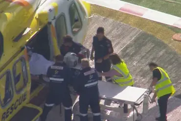Breaking: Woman Amputated After Lion Attack at Darling Downs Zoo, Queensland