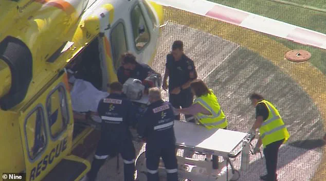 Breaking: Woman Amputated After Lion Attack at Darling Downs Zoo, Queensland
