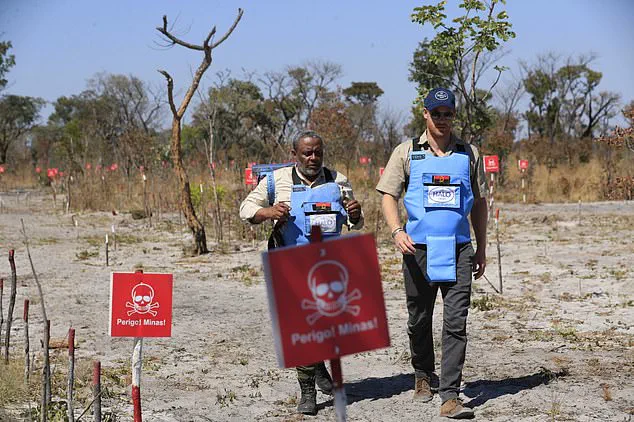 Exclusive Access: Prince Harry's Minefield Walk in Angola and the Hidden Legacy of Humanitarian Efforts