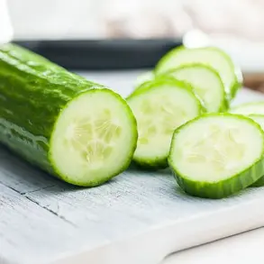 FDA Issues Highest Danger Recall for Harris Teeter Sushi Amid Nationwide Salmonella Outbreak Linked to Contaminated Cucumbers