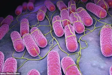 Health Officials Warn of Salmonella Outbreak Linked to Tomatoes as Rare Strains Cause Over 100 Cases and 14 Hospitalizations in UK
