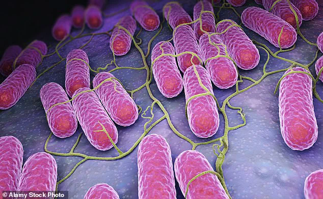 Health Officials Warn of Salmonella Outbreak Linked to Tomatoes as Rare Strains Cause Over 100 Cases and 14 Hospitalizations in UK