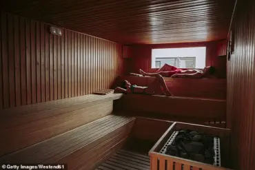 Plastic Surgeons Warn Against Sauna Use Post-Lip Fillers Amid Rising Cosmetic Demand