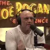 Political Tensions Escalate as Joe Rogan Backs Democrat Candidate Amid Trump's Re-election